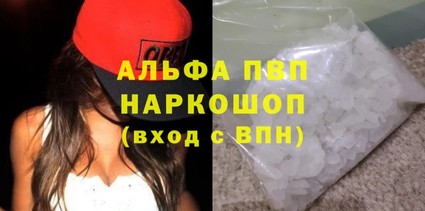 PSILOCYBIN Балахна