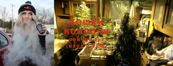 PSILOCYBIN Балахна