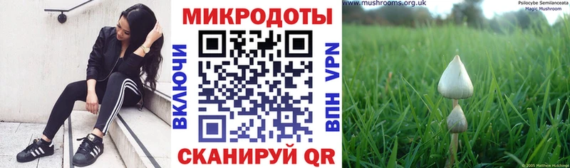 где найти   Покров  Псилоцибиновые грибы мухоморы 